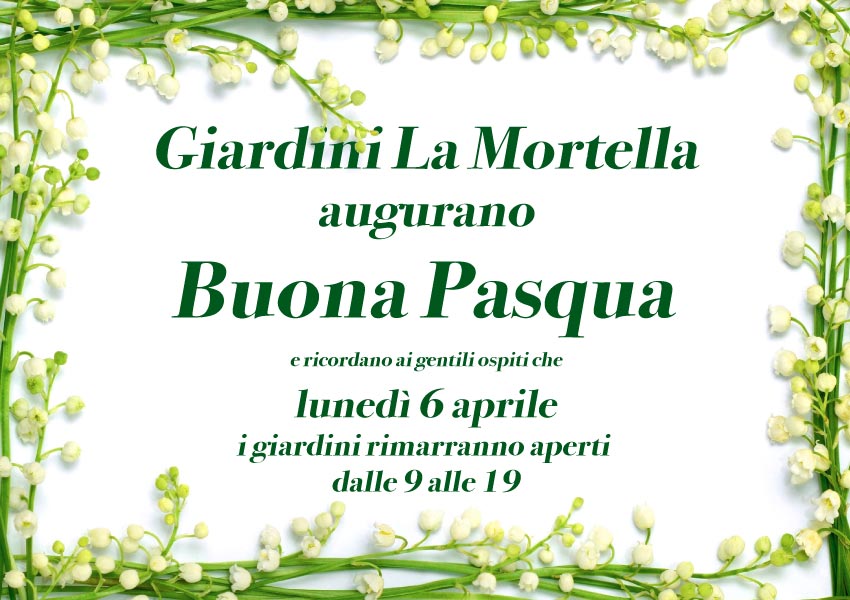 Giardini La Mortella augurano Buona Pasqua e ricordano ai propri ospiti che, lunedì 6 aprile 2026 i giardini rimmaranno aperti dalle 9 alle 19.