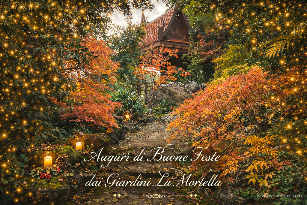 Auguri di Buone Feste