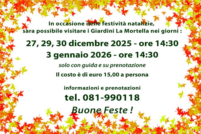 In occasione delle festività natalizie, sara possibile visitare i Giardini La Mortella nei giorni 27, 29, 30 dicembre 2025, il 3 gennaio 2026, alle 14.30, solo con guida e su prenotazione