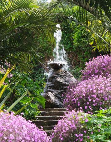 fontana alta - giardini la mortella